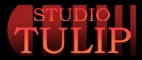 Studio Tulip