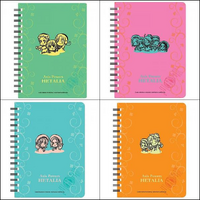 A6Notes