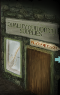 Quality Quidditch Supplies | Hogwarts EXTREME Wiki | Fandom