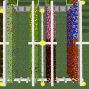 Tutorial - Manual Farms - Berry Bushes