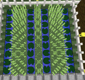 Tutorial - Manual Farms - Harvest Efficient Reeds