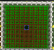 Tutorial - Manual Farms - Carrot