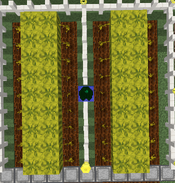 Tutorial - Manual Farms - Melon