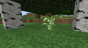 Vanilla - Birch Sapling