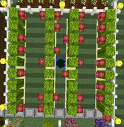 Tutorial - Manual Farms - Saguaro Cactus