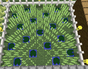 Tutorial - Manual Farms - Efficient Reeds