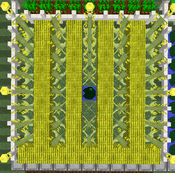 Tutorial - Manual Farms - Aloe Vera