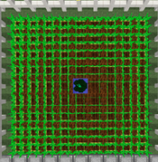 Tutorial - Manual Farms - Potatoes
