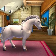Gotland Pony Horse Haven World Adventures Wiki Fandom