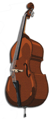Contrabass