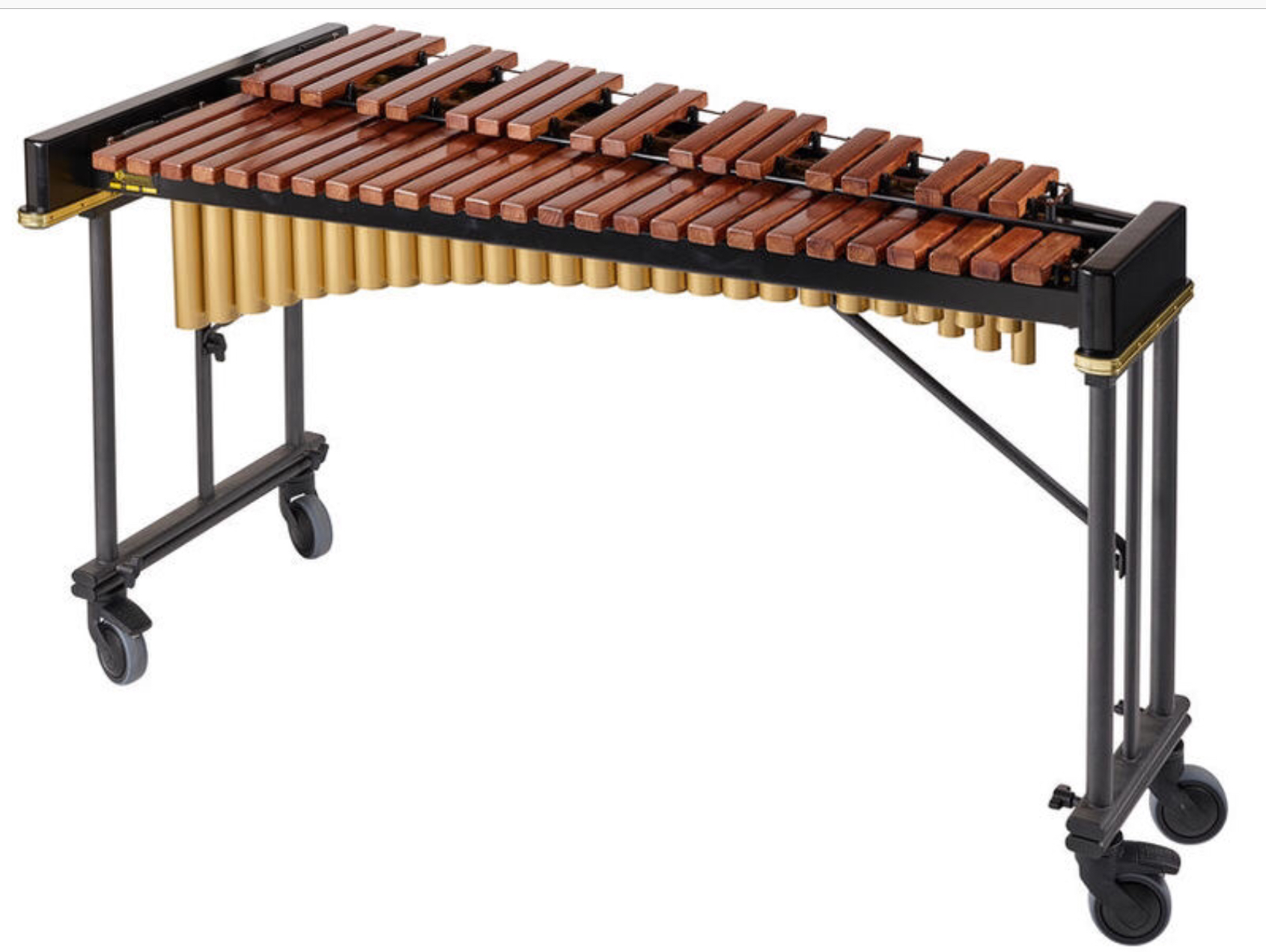 snail xylophone