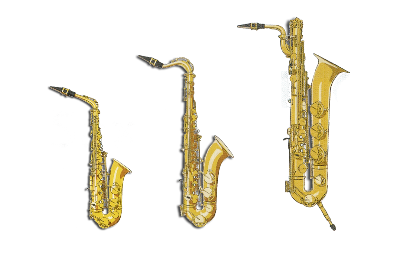 Image Sax Family.png Hibike! Euphonium Wiki FANDOM powered by Wikia