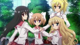 Aa quartet