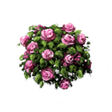 Image - Marketplace Pink Rose Bush-icon.png | Hidden Chronicles Wiki