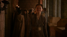 Sansa feliz con término de compromiso HBO