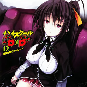 Light Novel Volume 12 High School Dxd Wiki Fandom