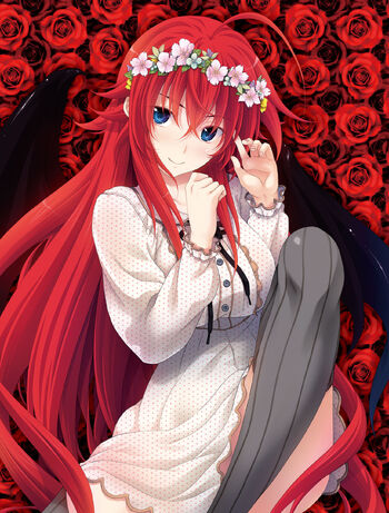 Rias Gremory Demisummonerverse High School Dxd Wiki Fandom