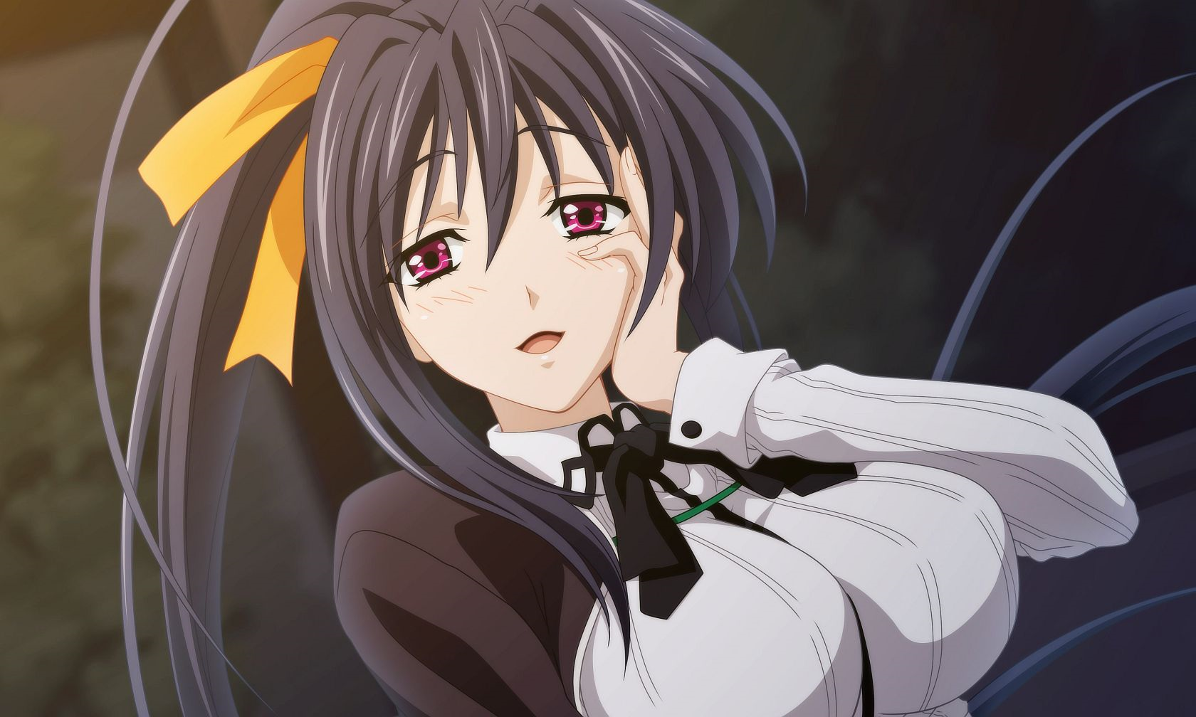 Bild Akeno Himejima Closeuppng Highschooldxd Wiki Fandom Powered 