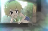 Satoko F. Schrein