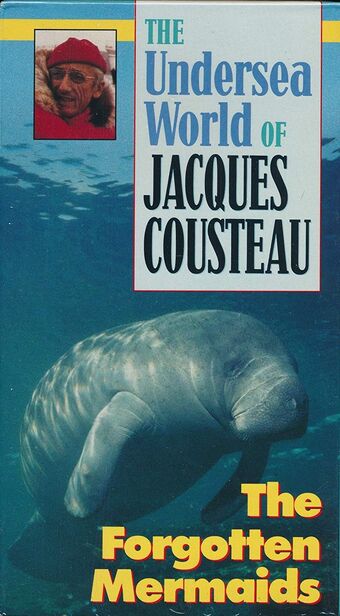 Jacques Cousteau Hippie Wiki Fandom