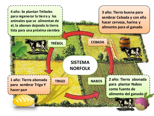 Sistema Norfolk