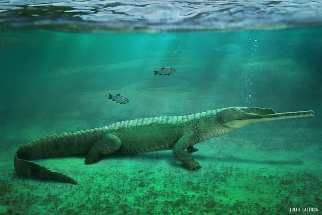 File:Mystriosuchus.png