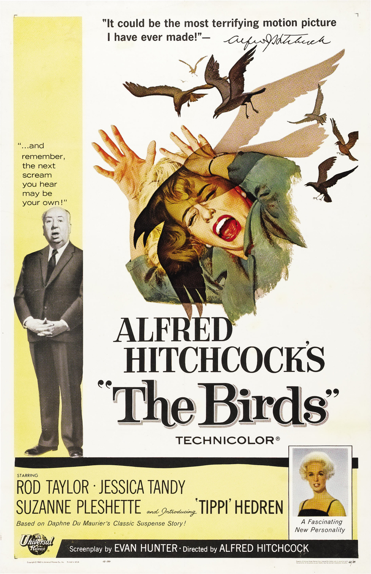 The Birds Hitchcock Wiki FANDOM Powered By Wikia the-birds-hitchcock-wiki-fandom-powered-by-wikia