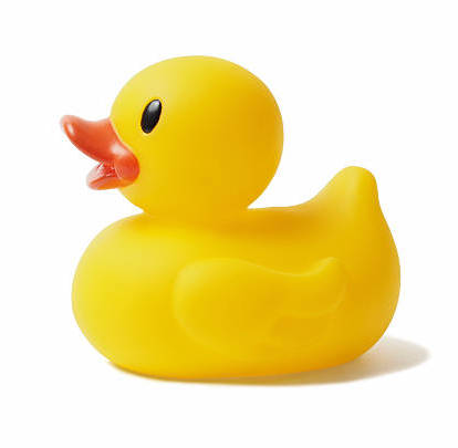 a rubber duck