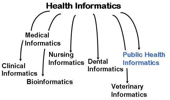 Health Information System Definition Of Health Information