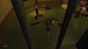 Rat Club Boxing