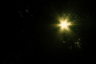 A light in the darkness
