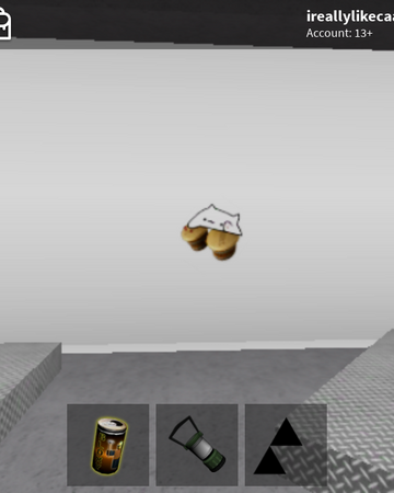 hmmmm roblox