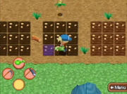 IoHCrops