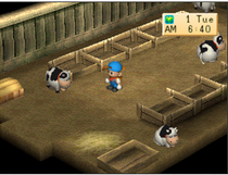 Not Barn