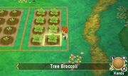 PopoloSoS Crops