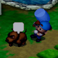 Stray Dog Btn The Harvest Moon Wiki Fandom