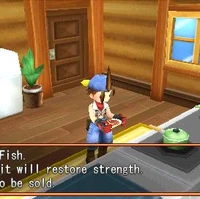 Harvest Moon Hero Of Leaf Valley Bread Recipe