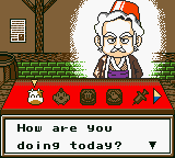 Harvest Moon GB 04