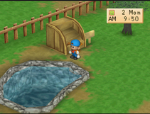 Fish Pond