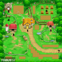 Bluebellfarm2