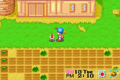 Chicken Fomt The Harvest Moon Wiki Fandom