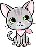 CatCFTT