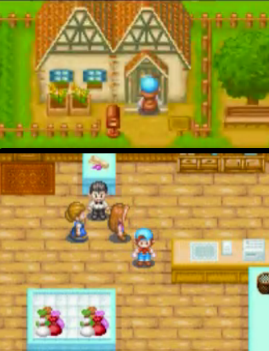 How to open casino in harvest moon ds cute