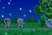 Fest starrynight