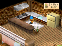 Kitchen 2
