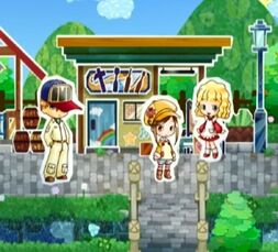 Mls decoration shop