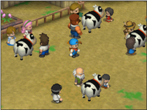 Cow Festival