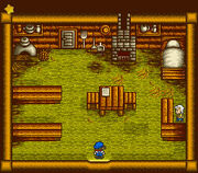 Livestockshopnes