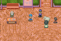 HMFoMT Sheep Festival