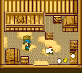 Chicken coop
